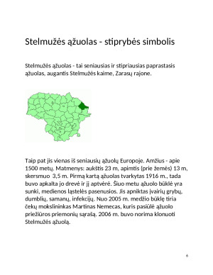Ledynų slėptas Barstyčių akmuo. Paveikslėlis 6