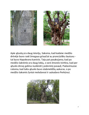 Ledynų slėptas Barstyčių akmuo. Paveikslėlis 7