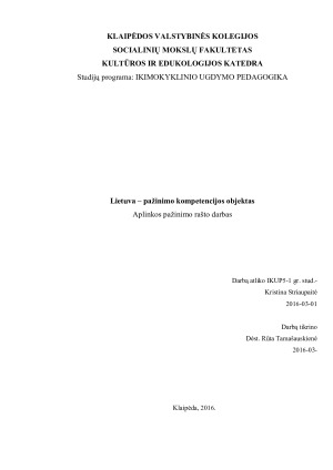 Lietuva – pažinimo kompetencijos objektas. Paveikslėlis 1