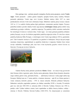 Mažoji Lietuva. Paveikslėlis 5