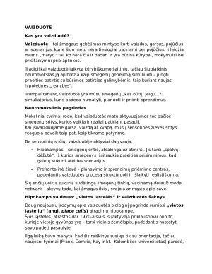 VAIZDUOTĖ. Kas yra vaizduotė?