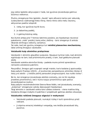 VAIZDUOTĖ. Kas yra vaizduotė?. Paveikslėlis 2