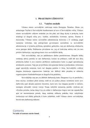 PROFESINĖ PRAKTIKA VILNIAUS MIESTO SAVIVALDYBĖJE. Paveikslėlis 4