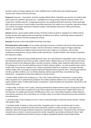 Raidos kolokviumas. Konspektas. Paveikslėlis 8