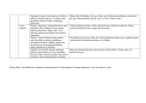Kūrybiškumo_fikasavimas  pilnas (1). Paveikslėlis 3