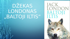 DŽEKAS LONDONAS „BALTOJI ILTIS“. Paveikslėlis 1