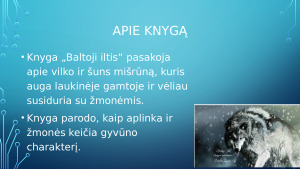 DŽEKAS LONDONAS „BALTOJI ILTIS“. Paveikslėlis 3