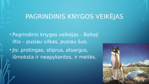 DŽEKAS LONDONAS „BALTOJI ILTIS“. Paveikslėlis 4