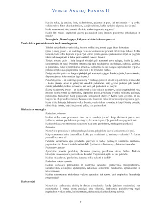 Verslo plano struktūra. Paveikslėlis 2