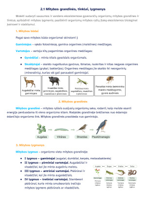Mitybos grandinės, tinklai, lygmenys. Konspektas