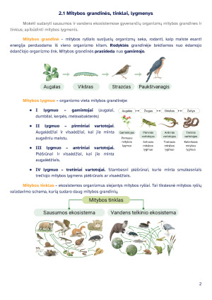 Ekosistemų stabilumas. Konspektas. Paveikslėlis 2