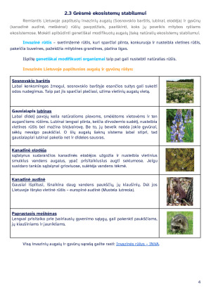 Ekosistemų stabilumas. Konspektas. Paveikslėlis 4