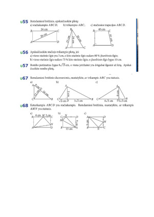 Pitagoro teorema. Užduotys 8kl