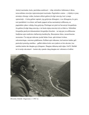  Fotografijos namų darbas . Paveikslėlis 5