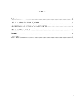 Intelektas. Paveikslėlis 2