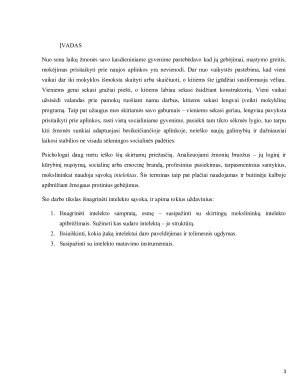 Intelektas. Paveikslėlis 3