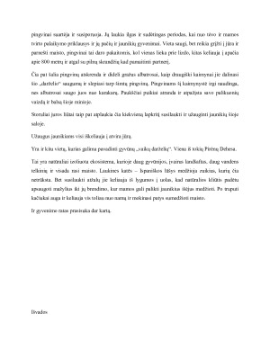 Saugios aplinkos jaunikių auginimui pasirinkimas kaip gyvūnų elgesio adaptacija, siekiant užtikrinti naujos kartos išgyvenimą. Paveikslėlis 3