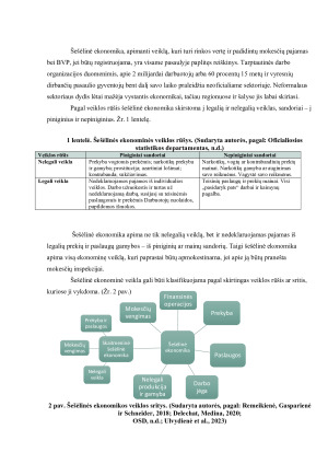 Šešėlinė ekonomika, jos formavimosi priežastys. Paveikslėlis 6