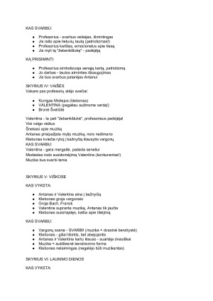 Valentina. Aprašymas. Paveikslėlis 3