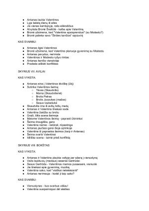 Valentina. Aprašymas. Paveikslėlis 4