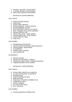 Valentina. Aprašymas. Paveikslėlis 6