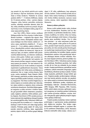 IKIMOKYKLINIO AMŽIAUS VAIKŲ BAIMIŲ RAIŠKA. Paveikslėlis 4