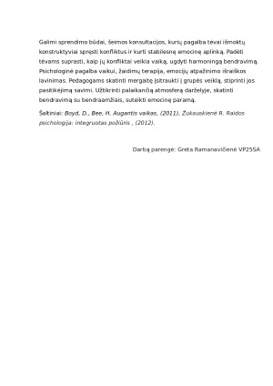 Vaiko pažinimas. Atvejo analizė. Paveikslėlis 3