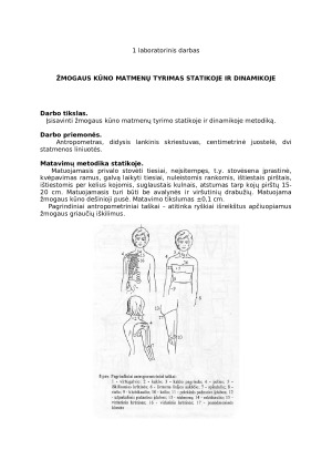 Žmogaus kūno matmenų tyrimas statikoje ir dinamikoje