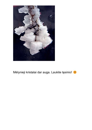 Kristalų auginimo projektas. Paveikslėlis 4