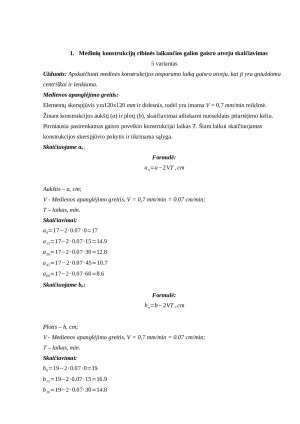 Žmonių evakuacijos iš pastatų trukmės skaičiavimas. Paveikslėlis 3