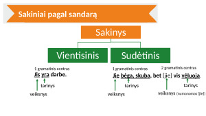 Skyryba. Mokomoji medžiaga. Paveikslėlis 4