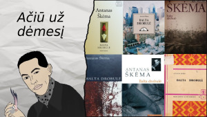 Balta Drobulė. Tematika, problematika. Paveikslėlis 6