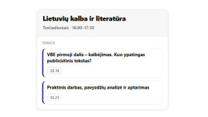 Kaip pasiruošti 11 kl kalbėjimui?. Paveikslėlis 2