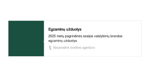 Kaip pasiruošti 11 kl kalbėjimui?. Paveikslėlis 4