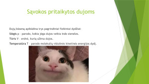 Izochorinis, izobarinis, izoterminis procesai. Teorija ir užduotys. Paveikslėlis 4