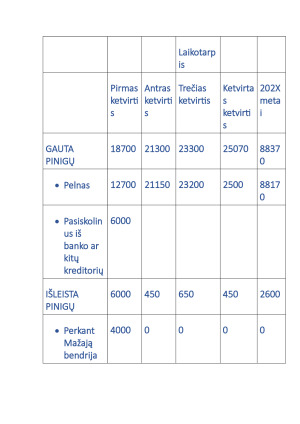 Maisto prekių parduotuvė. Verslo planas. Paveikslėlis 4