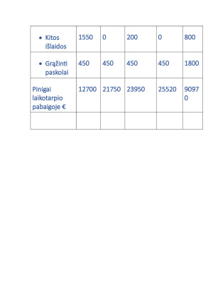 Maisto prekių parduotuvė. Verslo planas. Paveikslėlis 5