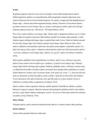 Spalvinio regėjimo tyrimas. Paveikslėlis 2