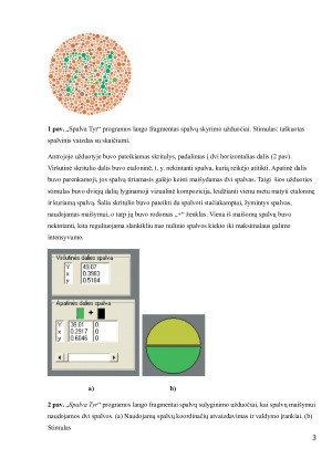 Spalvinio regėjimo tyrimas. Paveikslėlis 4