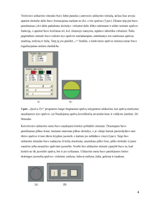 Spalvinio regėjimo tyrimas. Paveikslėlis 5