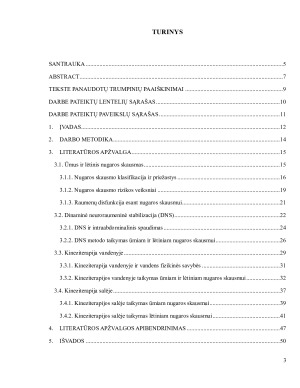 Skirtingų kineziterapijos metodų efektyvumas darbingo amžiaus žmonių ūmaus ir lėtinio nugaros skausmo mažinimui - išplėstinė literatūros apžvalga. Paveikslėlis 3