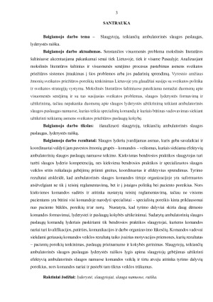 SLAUGYTOJŲ, TEIKIANČIŲ AMBULATORINĖS SLAUGOS PASLAUGAS, LYDERYSTĖS RAIŠKA. Paveikslėlis 3