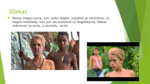 William Golding „Musių valdovas“. Paveikslėlis 9