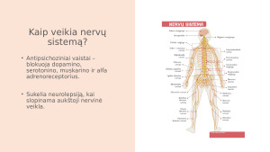 Antipsichoziniai vaistai. Paveikslėlis 4