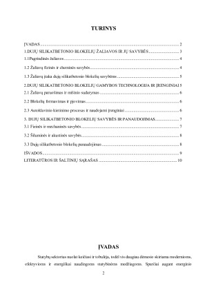 Dujų silikatbetonio blokeliai. Paveikslėlis 2